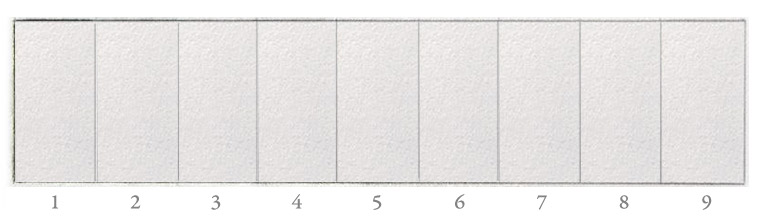 value scale step 1 - 9 swatches pre-drawn cleanly.