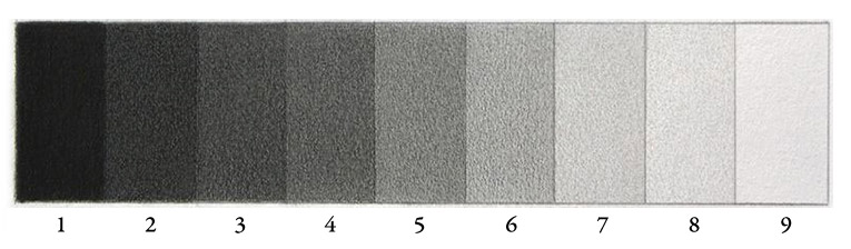 Value Scale step 5 - fill in all swatches